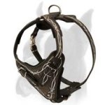 Barbed Wire Hand Painted Dog Harness for Boxer