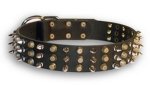 Extraordinary Leather Collar with Nickel Spikes and Brass Pyramids for Boxer