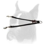 Wonderful any-weather nylon Boxer coupler for walking 2 dogs