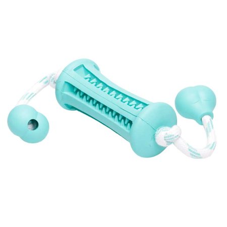 Green Training Dental Toy With Handles