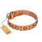 'Extra Sparkle' FDT Artisan Handcrafted BoxerTan Leather Dog Collar