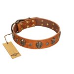 "Rockstar" FDT Artisan Tan Leather Boxer Collar with Engraved Studs and Medallions