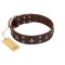 "Stars in Sands" Modern FDT Artisan Brown Leather Boxer Collar with Studs and Stars