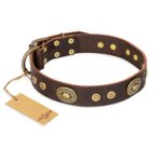 "One-of-a-Kind" FDT Artisan Handmade Decorated Brown Leather Boxer Collar