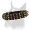 Studded Boxer dog Collar for excellent style