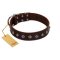 "Boundless Energy" Premium Quality FDT Artisan Brown Designer Leather Boxer Collar with Small Pyramids