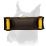 Grip and angle perfection workout bite developer for Boxer