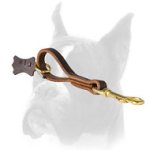 Fast Grab Pull Tab Dog Leash for Boxer