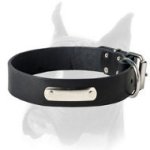 Leather Dog Collar with nickel ID-plate for Boxer
