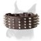 Posh leather Boxer collar with spikes and pyramids