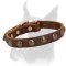 Lovely leather Boxer collar with brass studs