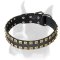 Extraordinary leather Boxer collar with studs