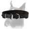 Handcrafted Leather Dog Collar Padded for Comfort