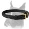 Gorgeous Leather Dog Collar with Beautiful Decorative Braid
