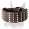 Best Collar For Boxer With Spikes And Pyramids