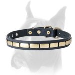 Wonderful leather Boxer collar with plates