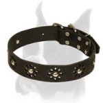 Stylish Collar with Camomile Ornament for Boxer