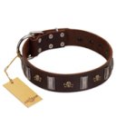 "War Chief" FDT Artisan Genuine Brown Leather Boxer Collar with Skulls and Plates