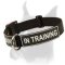 Excellent Identification Dog Collar for Boxer