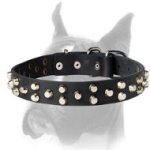 Exclusive Dog Collar made of Best Quality Leather and Nickel-plated Hardware