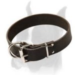 Plain Design Everyday Leather Collar for Boxer 1 1/2 Inches Wide