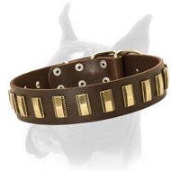 Handcrafted Leather Collar With Vertical Brass Plates
