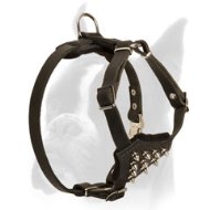 Leather Puppy Harness for Superior Control over Boxer Puppies
