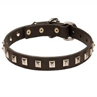 Elegant Boxer Leather Collar With Nickel Studs