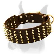 Boxer Dog Leather Collar with Incredible Number of Spikes