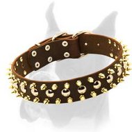 Astonishing Leather Spiked Studded Dog Collar for Boxer