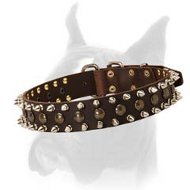 Boxer Spiked & Studded Dog Collar 1 1/2 inch wide