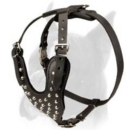 Boxer Leather Dog Harness with Metal Decoration