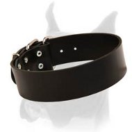 Extra Wide Boxer Collar Made of Full Grain Leather