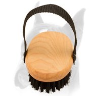 Bristle Boxer Brush for Everyday Grooming 'Brush & Go'