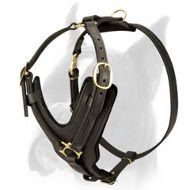 Exclusive Handcrafted Boxer Dog Harness for Successful training
