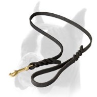 Leather Boxer Leash for Walking and Tracking