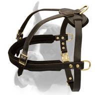 Wonderful Boxer Harness for Pulling/Tracking/Walking and other activities
