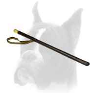 Agitation Stick Ideal For Schutzhund Dog Training