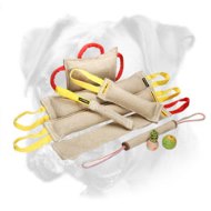 Fantastic Dog Training Set