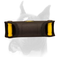 Grip and angle perfection workout bite developer for Boxer