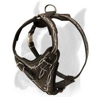 Barbed Wire Hand Painted Dog Harness for Boxer