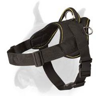 Heavy duty Nylon Dog Harness for Boxer