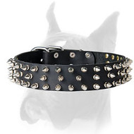 Extraordinary spiked leather collar for Boxer