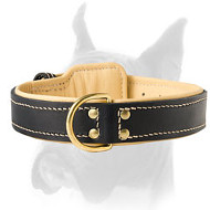 Excellent leather collar for Boxer