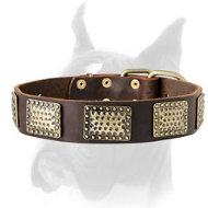 Luxury Leather Dog Collar for Boxer