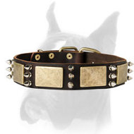 Comfortable Leather Dog Collar with Brass Plates and Nickel Spikes