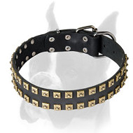 Unique leather studded collar for Boxer