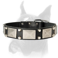 Designer Dog Collar for Happy Walking and Training your Boxer