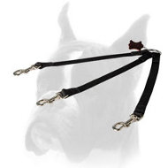 Nylon Boxer Coupler Leash for walking three dogs in any weather