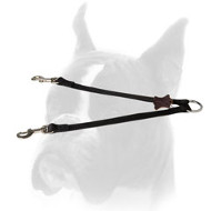 Wonderful any-weather nylon Boxer coupler for walking 2 dogs